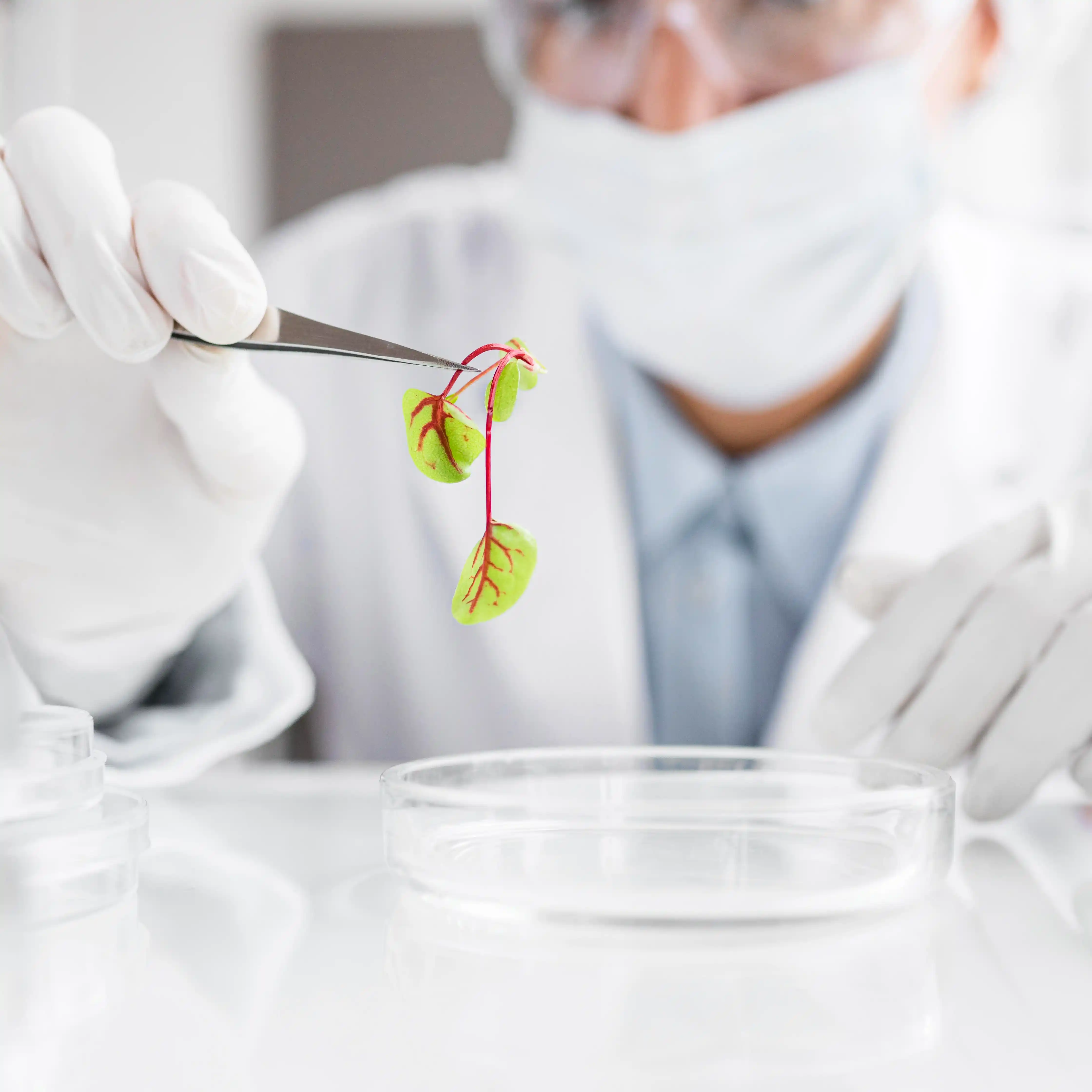 Committed to accelerating growth and impact in the life sciences ecosystem